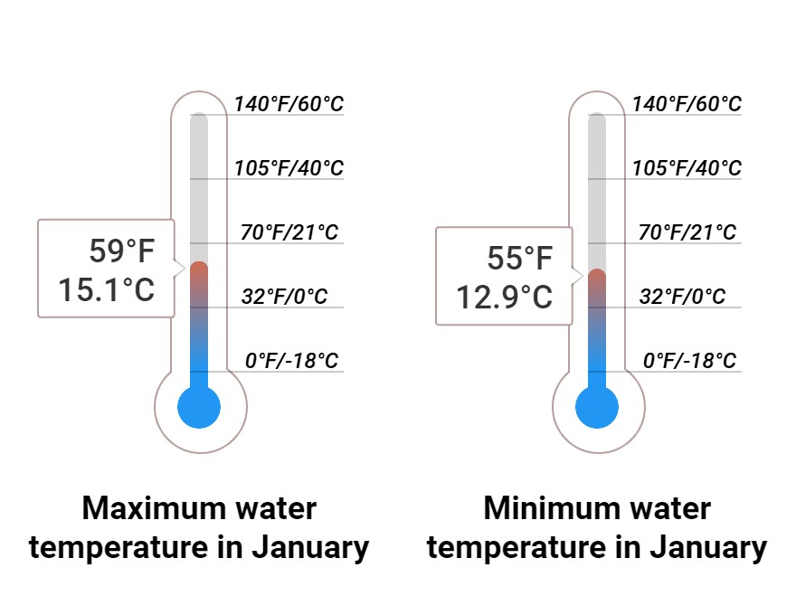 Average Sea temperature